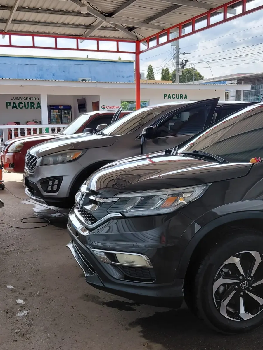 Lavado General en Pacura
